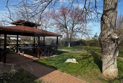Casa de vanzare cu livada si piscina - Giurgiu - 6