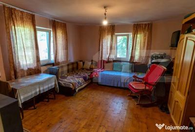 Casă cu 3 camere cu Teren 4000 Mp în Rovina (Brănișca) - 14