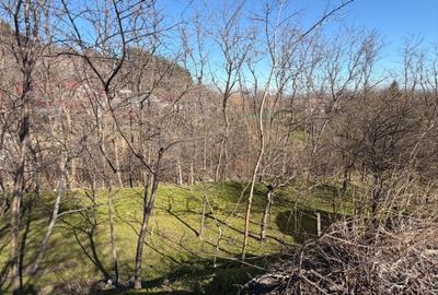 Casă cu 4 camere în Pietroasele - 6