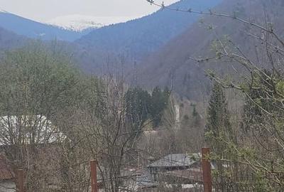 Spațiu comercial, în Poiana - 3