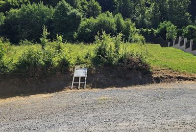 Teren de 3533 mp, în Exterior Vest - 5