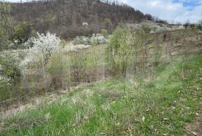 Vand 17 ha teren extravilan, Carmazanesti - 2