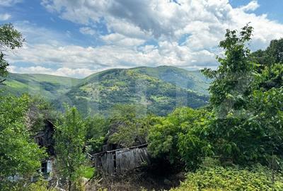 Casa la munte cu teren generos de 9340mp in zona Capalna - Valea Sebesului - 3