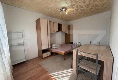 Garsonieră semidecomandată în Elisabetin - 2