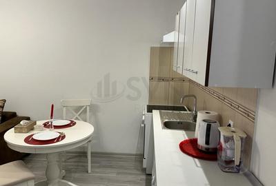 Apartament cu 2 camere decomandat, mobilat în Tineretului - 3