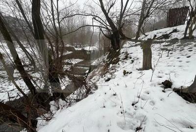 Teren de 2800 mp, în Micești - 8