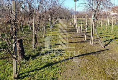 Casă cu 5 camere cu Teren 2158 Mp în Freidorf - 17