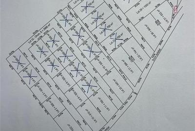 LOTIZARE UNIREA-ODOBESTI - 1