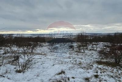 Teren de 10000 mp, în Rădășeni - 5