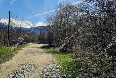 Teren intravilan 2600 mp de pe Valea Avrigului - 2