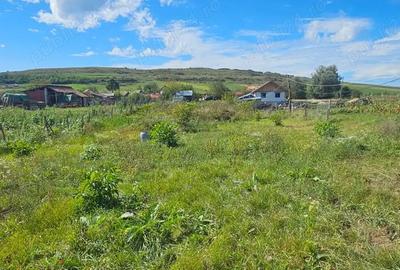 Teren de 2300 mp, în Borșa - 1