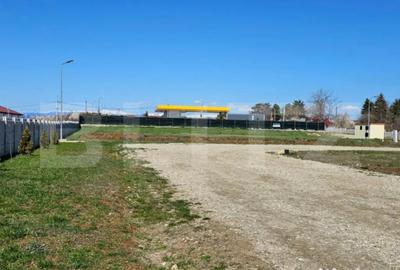 Teren de 1926 mp, în Priseaca - 1