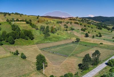 Teren Manastirea Humorului / Strada Principala 22,238 MP - 7