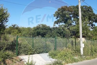 Teren 1856 mp la DJ504A, Draghiceanu - zona linistita - 4