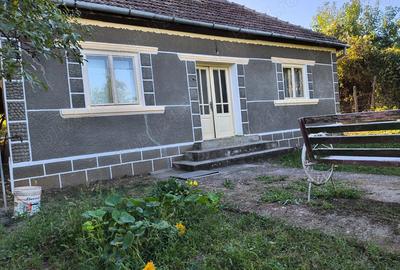 Vand casa de locuit Cuvin ARAD - 1