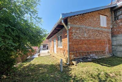 Resita Casa Zona Triaj - 10