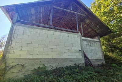 Casa la ro?u + 4391 mp teren de vanzare in comuna Valea Danului, sat Borobane?ti, jude? Arge?. - 16