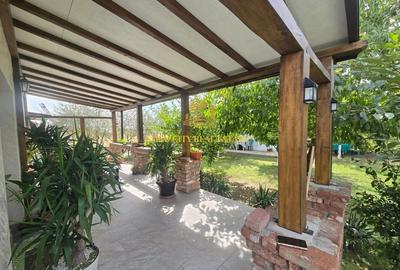 De vanare - Casa Dragomiresti Vale - 4