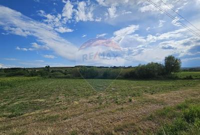 Teren extravilan 12000 mp- Padureni-Sendriceni, Botosani - 3