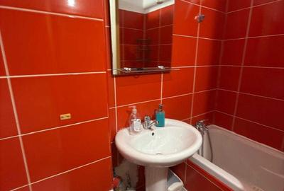 Garsonieră semidecomandată, mobilată în Camil Ressu - 8