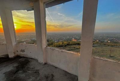 Castel cu vedere panoramica pe dealul ?iriei - 18