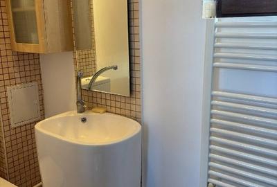 Vila langa lacul Baneasa, parcul Herastrau, zona Nord - 16