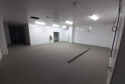 Hala - flux DSV - domeniu alimentar - productie sau catering - 9