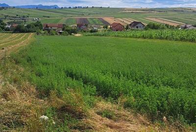 Teren de 1970 mp, în Tureni - 3