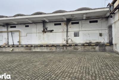 Spațiu comercial, de 4,000 mp, în Sud - 10