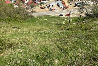 Vand teren Siriu 6400 mp - 2