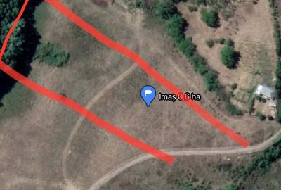 Teren de 30000 mp, în Slobozia (Schitu Duca) - 4