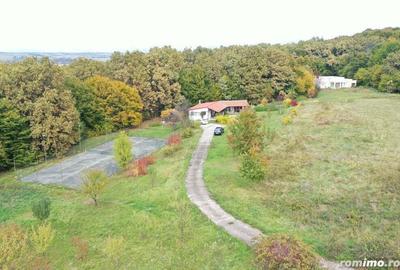 Proprietate exclusivista cu 60.000 mp teren ?i padure - 4