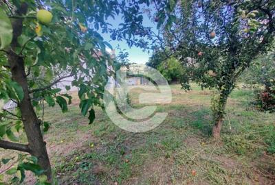 Teren de 578 mp, în Șura Mare - 7