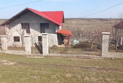 Casă cu Teren 1500 Mp în Erbiceni - 2
