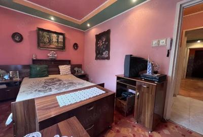 Apartament cu 2 camere semidecomandat în Gojdu - 7