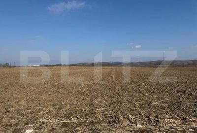 Teren de 2900 mp, în Central - 2