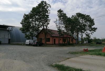 Teren în Ciochina - 5