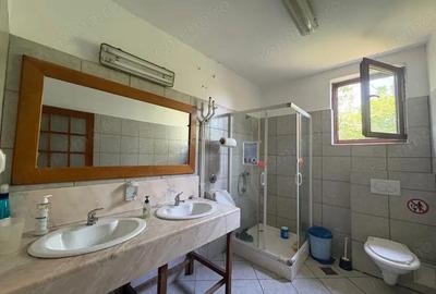 Vanzare complex industrial *hala 682 mp + teren 2,5 ha* - Tetila - 7