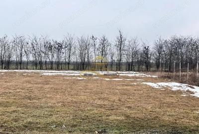 Teren de 900 mp, în Săucești - 1
