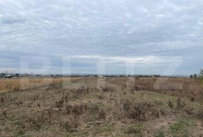 Teren extravilan de 2539 mp in Dudovicesti - 1