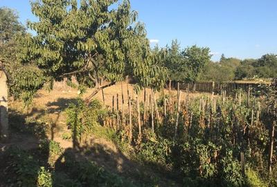 Vând casă în sat Crăciunei, comuna Radomirești, județul Olt Vând casă în sat Crăciunei, comuna Radomirești, județul Olt - 8