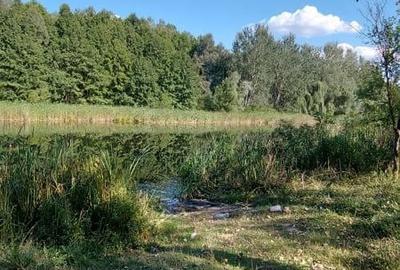 Teren de 5000 mp, în Ostrovu Corbului - 5