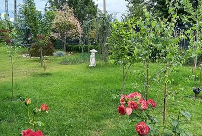 Urgent .Proprietar, parter la casa cu etaj, Mogosesti - Iasi, 10 km - 9