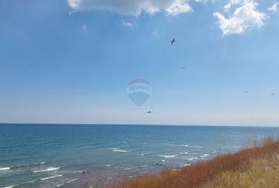 Teren de vis pe malul marii, Goflful Francezului, Costinesti - 4