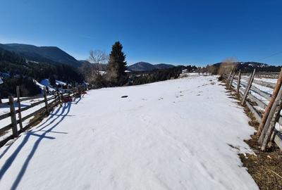 Teren situat langa padure de Vanzare - 6