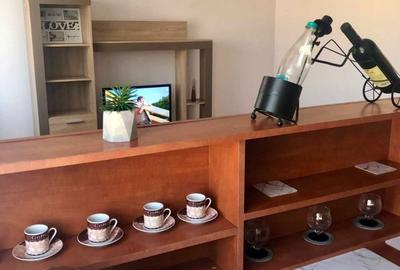 Apartament cu 2 camere semidecomandat în Ultracentral - 5