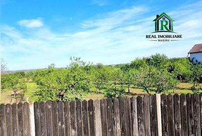 Spațiu comercial, în Nișcov - 3