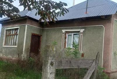 Casă cu 4 camere în Sânmiclăuș - 5