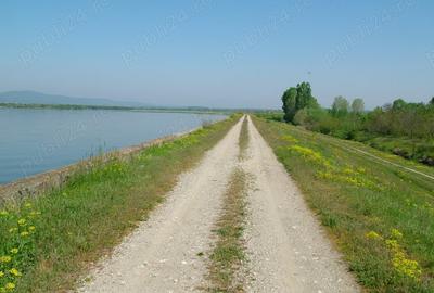 Teren de 8000 mp, în Drăgoești - 5