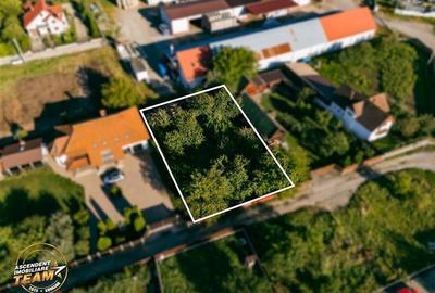 FILM! Casuta cu peste 800mp teren, areal estimabil, Lenin, Sfantu Gheorghe - 4